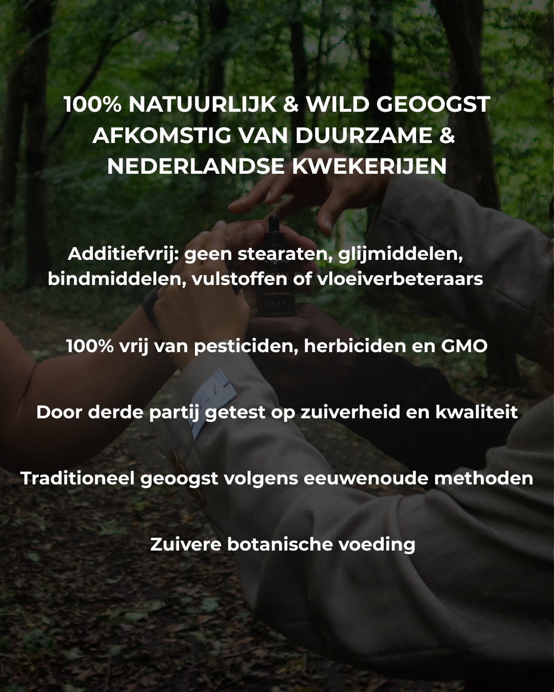Kruiden Elixer | Fysiek fundament