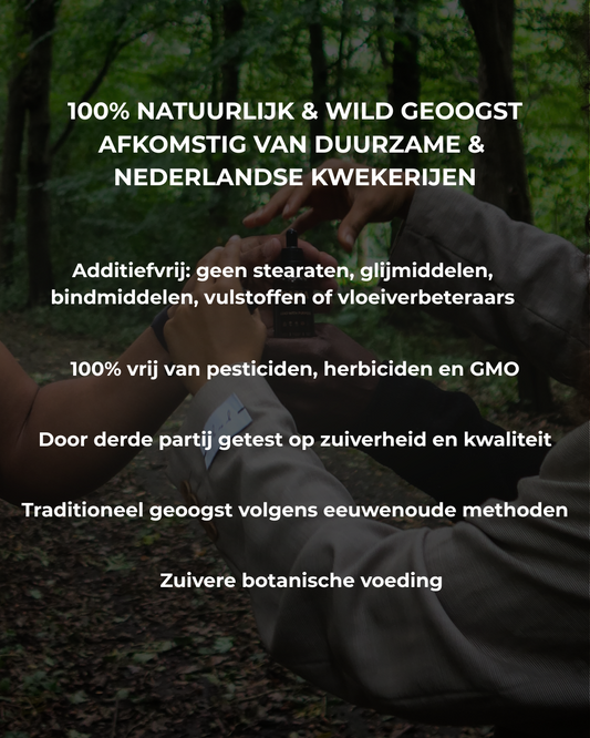 Kruiden Elixer | Fysiek fundament
